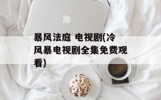 暴风法庭 电视剧(冷风暴电视剧全集免费观看)