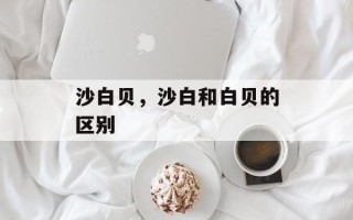 沙白贝，沙白和白贝的区别