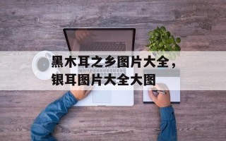 黑木耳之乡图片大全，银耳图片大全大图