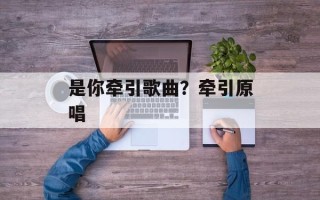 是你牵引歌曲？牵引原唱