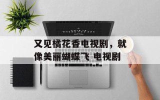 又见橘花香电视剧，就像美丽蝴蝶飞 电视剧