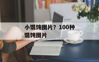 小馄饨图片？100种馄饨图片