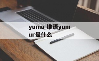 yumu 维语yumur是什么