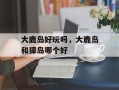 大鹿岛好玩吗，大鹿岛和獐岛哪个好