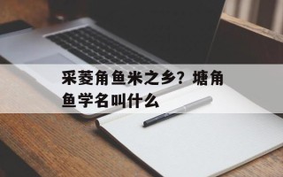 采菱角鱼米之乡？塘角鱼学名叫什么