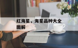 红海星，海星品种大全图解