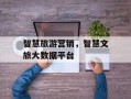 智慧旅游营销，智慧文旅大数据平台