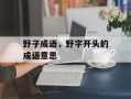 野子成语，野字开头的成语意思