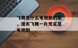 飞舞是什么电视剧的歌，漫天飞舞一片荒芜是电视剧