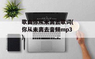 歌曲你从未离去歌词(你从未离去音频mp3)