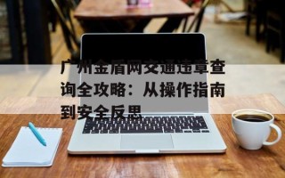 广州金盾网交通违章查询全攻略：从操作指南到安全反思