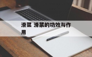 滑菜 滑菜的功效与作用