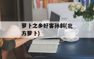 萝卜之乡好客孙斜(北方萝卜)