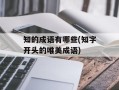 知的成语有哪些(知字开头的唯美成语)