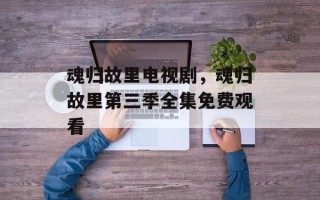 魂归故里电视剧，魂归故里第三季全集免费观看