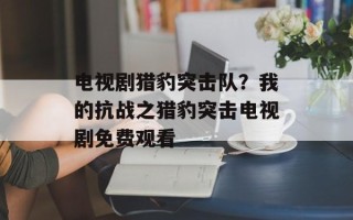 电视剧猎豹突击队？我的抗战之猎豹突击电视剧免费观看