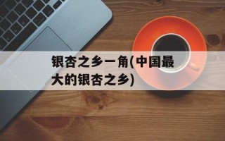 银杏之乡一角(中国最大的银杏之乡)