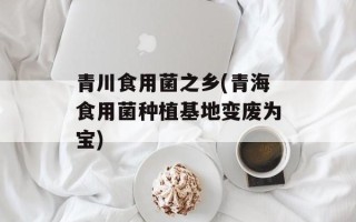 青川食用菌之乡(青海食用菌种植基地变废为宝)