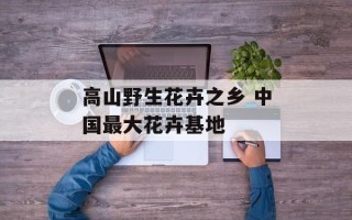 高山野生花卉之乡 中国最大花卉基地