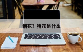 猪花？猪花是什么
