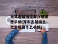 自驾游越南需要办理哪些手续(开车去越南自驾游需要什么手续)