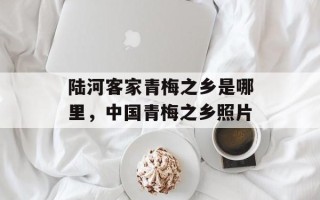 陆河客家青梅之乡是哪里，中国青梅之乡照片