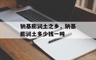 钠基膨润土之乡，钠基膨润土多少钱一吨