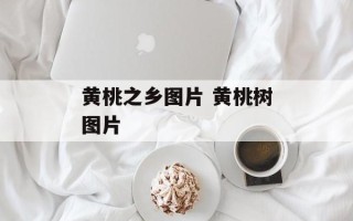 黄桃之乡图片 黄桃树图片