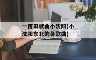 一亩田歌曲小沈阳(小沈阳东北的冬歌曲)