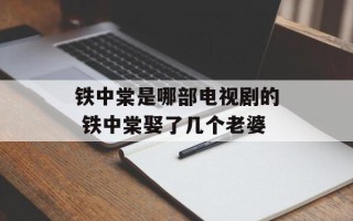 铁中棠是哪部电视剧的 铁中棠娶了几个老婆