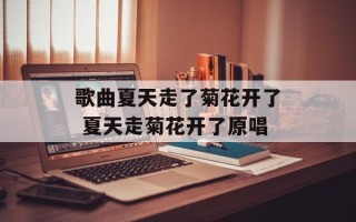 歌曲夏天走了菊花开了 夏天走菊花开了原唱