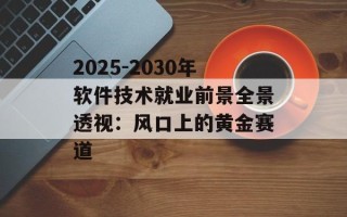 2025-2030年软件技术就业前景全景透视：风口上的黄金赛道