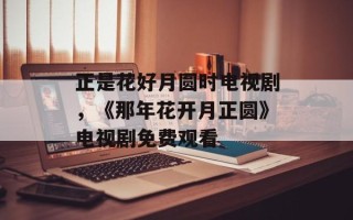 正是花好月圆时电视剧，《那年花开月正圆》电视剧免费观看