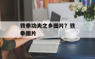 铁拳功夫之乡图片？铁拳图片