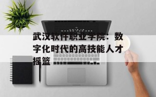 武汉软件职业学院：数字化时代的高技能人才摇篮