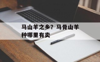 马山羊之乡？马骨山羊种哪里有卖