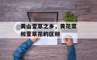 黄山萱草之乡，黄花菜和萱草花的区别
