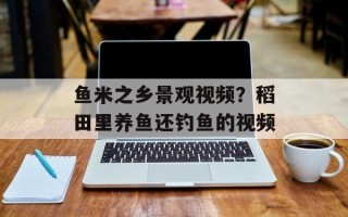 鱼米之乡景观视频？稻田里养鱼还钓鱼的视频