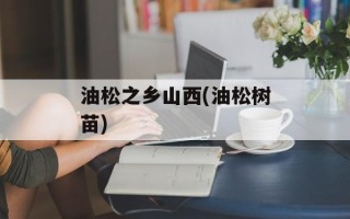 油松之乡山西(油松树苗)