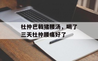 杜仲巴戟猪腰汤，喝了三天杜仲腰痛好了
