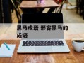 黑马成语 形容黑马的成语