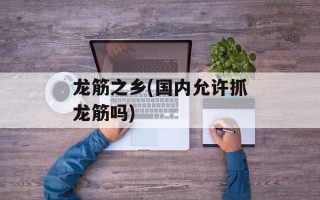 龙筋之乡(国内允许抓龙筋吗)