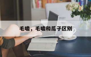 毛嗑，毛嗑和瓜子区别
