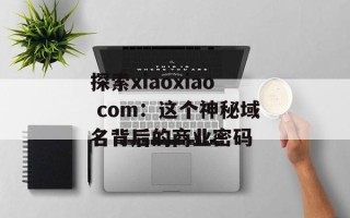 探索xiaoxiao com：这个神秘域名背后的商业密码