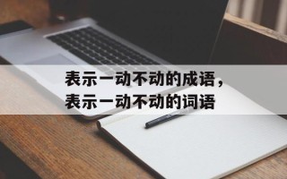 表示一动不动的成语，表示一动不动的词语
