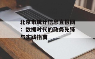 北京市统计信息直报网：数据时代的政务先锋与实践指南