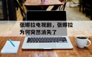 张娜拉电视剧，张娜拉为何突然消失了