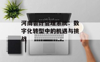 河南会计管理系统：数字化转型中的机遇与挑战