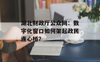 湖北财政厅公众网：数字化窗口如何架起政民连心桥？
