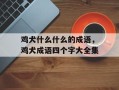 鸡犬什么什么的成语，鸡犬成语四个字大全集